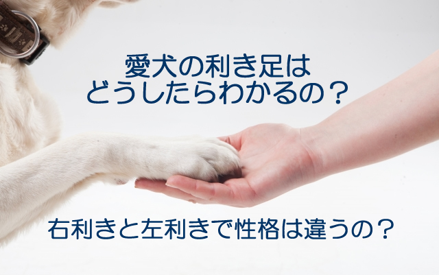 犬　利き足　性格