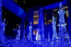 汐留イルミネーション犬連れ