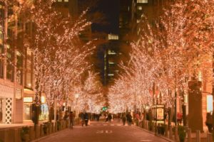 丸の内イルミネーション犬連れ