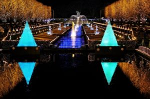 昭和記念公園イルミネーション犬連れ