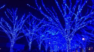 青の洞窟渋谷最寄り駅は?