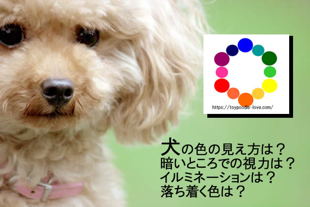 犬の色覚