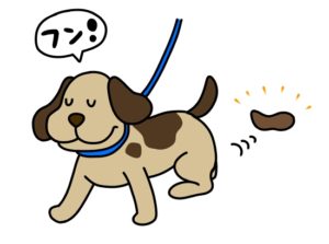 犬 食糞 散歩中