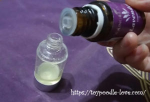 犬耳洗浄液 手作り