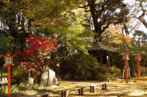 等々力不動尊　時間