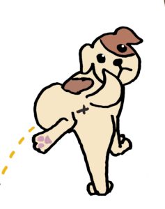 犬マーキング理由