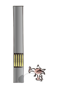 犬マーキングさせない方法