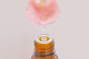 犬フラワーエッセンス