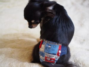 犬 生理用パンツ