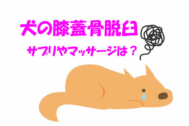 犬の膝蓋骨脱臼サプリ