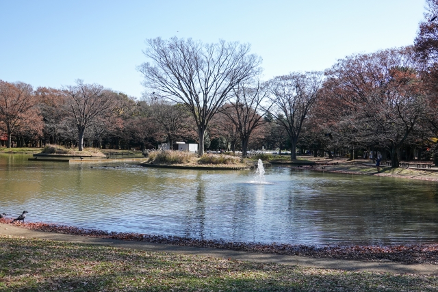 代々木公園ドッグラン駐車場