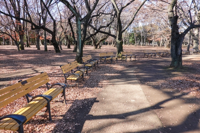 代々木公園　駐車場