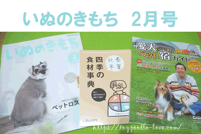 いぬのきもち2月号