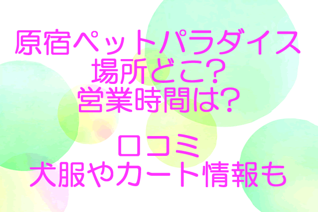 原宿ペットパラダイス場所